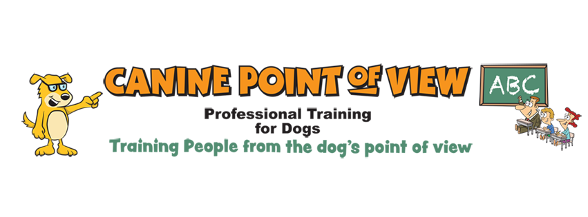 Canine Point of View
