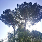 Photo n°1 de l'avis de Silvana.i fait le 17/06/2019 à 07:19 sur le  Casa Nostra Signora à Rome