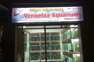 Vennelaa Aquariums image