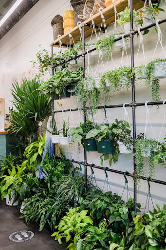 Florist «Englewood Florist, Inc.», reviews and photos, 47 E Palisade Ave, Englewood, NJ 07631, USA