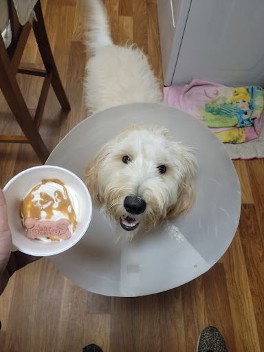 Ice Cream Shop «Main Ave Ice Cream», reviews and photos, 1706 N Main Ave, Scranton, PA 18508, USA