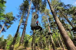 Zipit Forest Adventures image