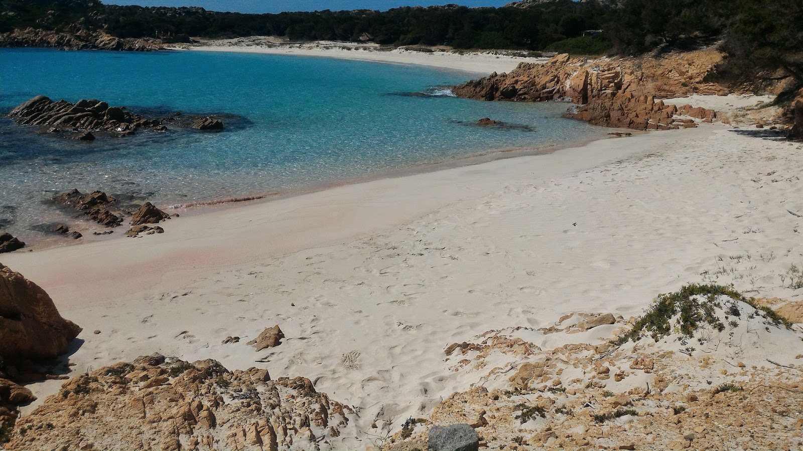 Pink beach photo #3