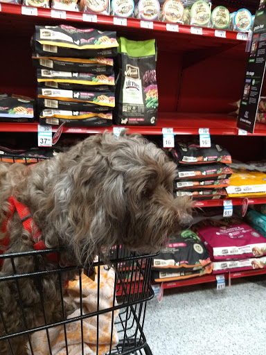Pet Supply Store «Petco Animal Supplies», reviews and photos, 2000 NE Burnside Rd, Gresham, OR 97030, USA