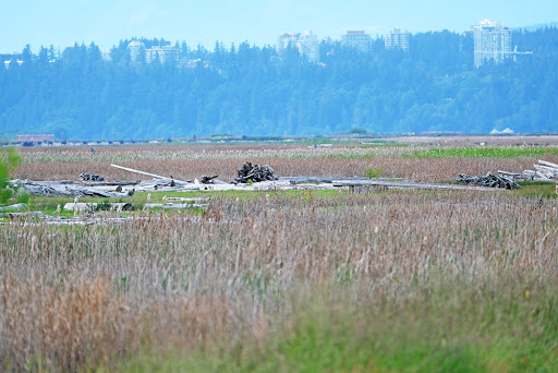 Terra Nova Natural Area