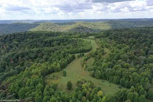 Richard and Lucile Durrell Edge of Appalachia Preserve System image