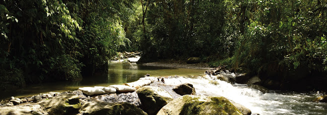 Amazon Jungle - Guia de Baños - Agencia de viajes