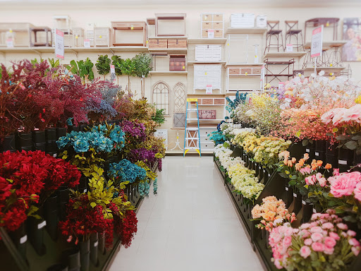 Craft Store «Hobby Lobby», reviews and photos, 5288 Preston Rd, Frisco, TX 75034, USA