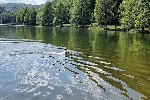 Sindersbachsee image