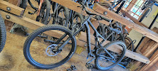 Trail Head Cyclery - Photo 8 - Car repair in Cupertino, CA, Sunnyvale