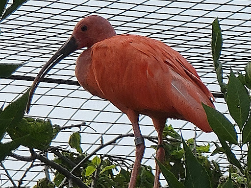 Zoo «Bramble Park Zoo», reviews and photos, 800 10th St NW, Watertown, SD 57201, USA