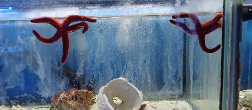 Pet Store «Leesburg Pet Center», reviews and photos, 959 N 14th St, Leesburg, FL 34748, USA