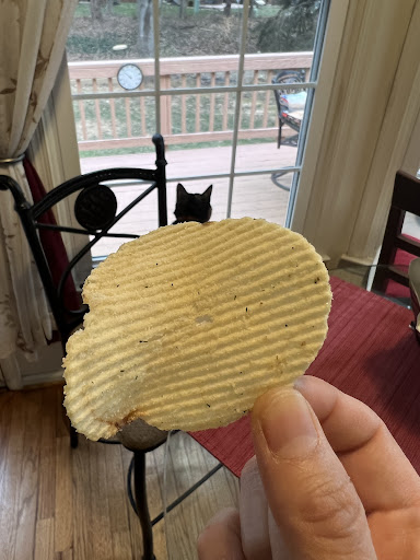 Supermarket «Giant», reviews and photos, 1450 North Point Village Center, Reston, VA 20194, USA