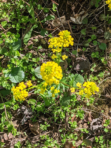 Park «Meadowbrook Park», reviews and photos, 5001 Meadowbrook Ln, Ellicott City, MD 21043, USA