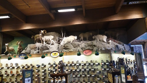 Outdoor Sports Store «Bass Pro Shops», reviews and photos, 7970 Northfield Blvd, Denver, CO 80238, USA