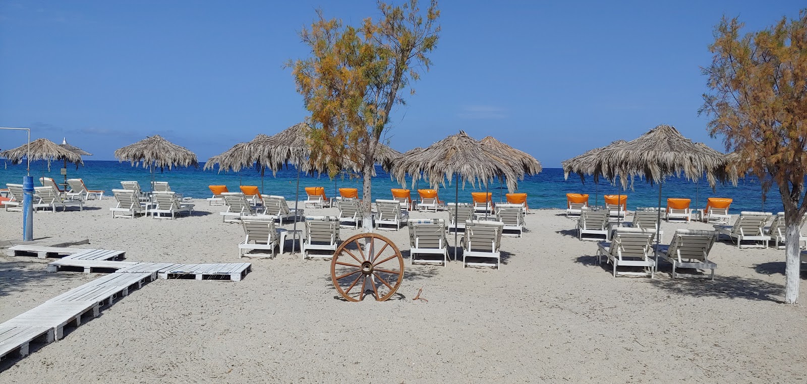 Foto van Achilleas beach gelegen in een natuurlijk gebied