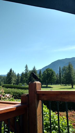 Golf Course «Mount Si Golf Course», reviews and photos, 9010 Boalch Ave SE, Snoqualmie, WA 98065, USA