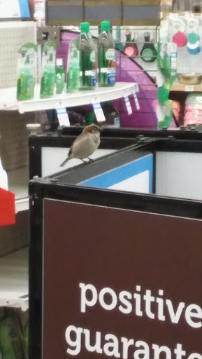 Pet Supply Store «Petco Animal Supplies», reviews and photos, 1520 Military Rd #130, Niagara Falls, NY 14304, USA