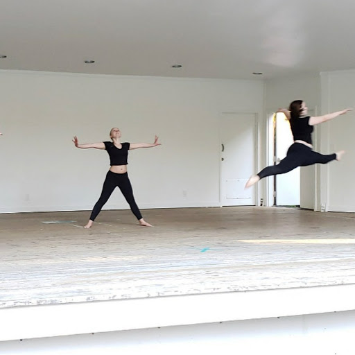 Dance School «K-Force Dance Academy», reviews and photos, 8797 Commerce Ct, Manassas, VA 20110, USA