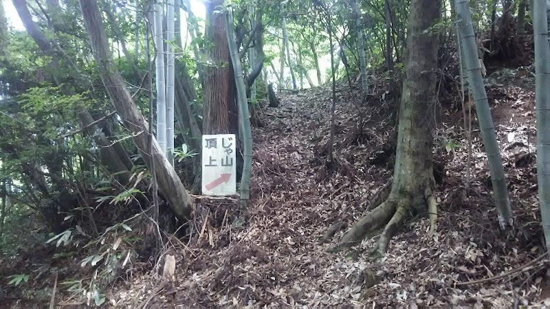 三刀屋じゃ山城跡