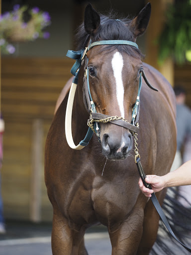 Racecourse «Belterra Park Gaming», reviews and photos, 6301 Kellogg Rd, Cincinnati, OH 45230, USA