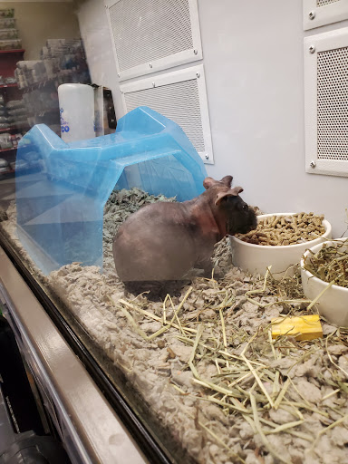 Pet Supply Store «Petco Animal Supplies», reviews and photos, 3577 S Rainbow Blvd, Las Vegas, NV 89103, USA