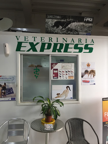 Veterinaria Express - Farmacia