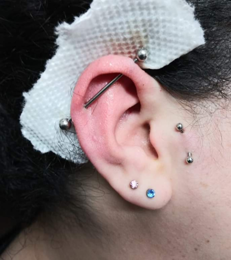 Explore zebra tattoo ideas, creative tattoo ideas in Hialeah, available at Allstar Tattoo & Body piercing