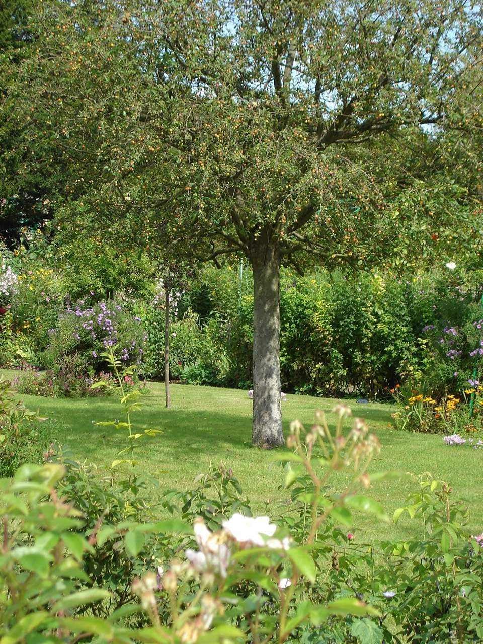 Photo n° 9 de l'avis de Mag.e fait le 10/10/2020 à 18:24