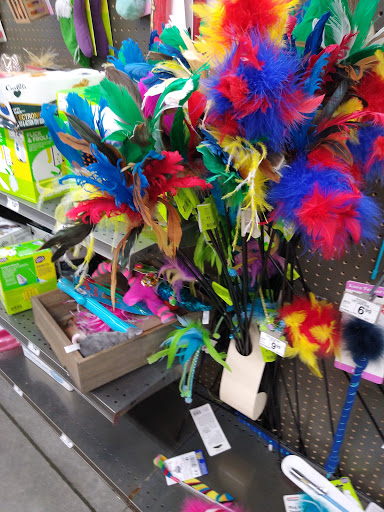 Pet Supply Store «Petco Animal Supplies», reviews and photos, 9350 US 49 a, Gulfport, MS 39503, USA