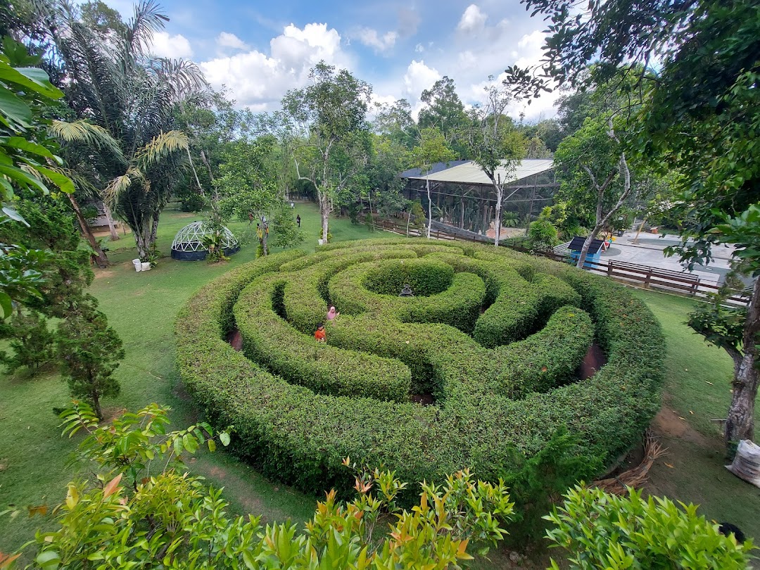 Samarinda, Endonezya