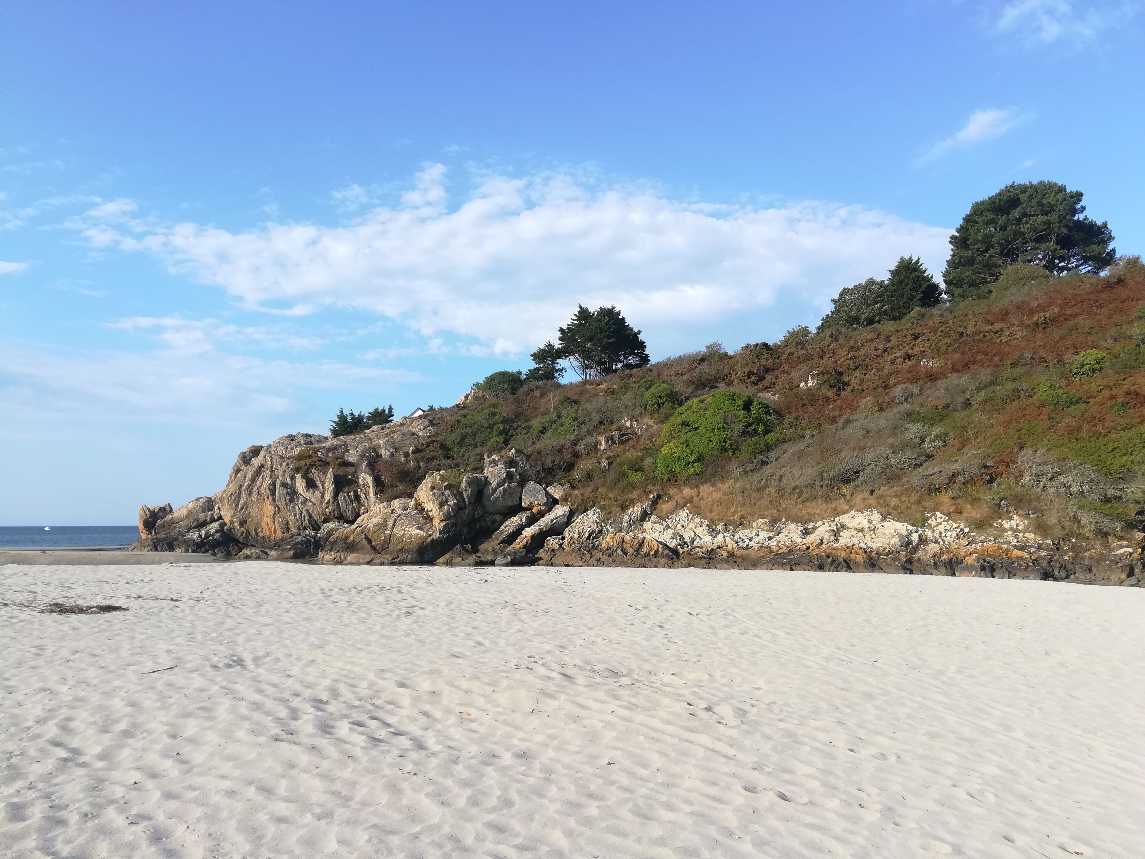 Photo n° 2 de l'avis de Fabien.o fait le 30/08/2022 à 17:08