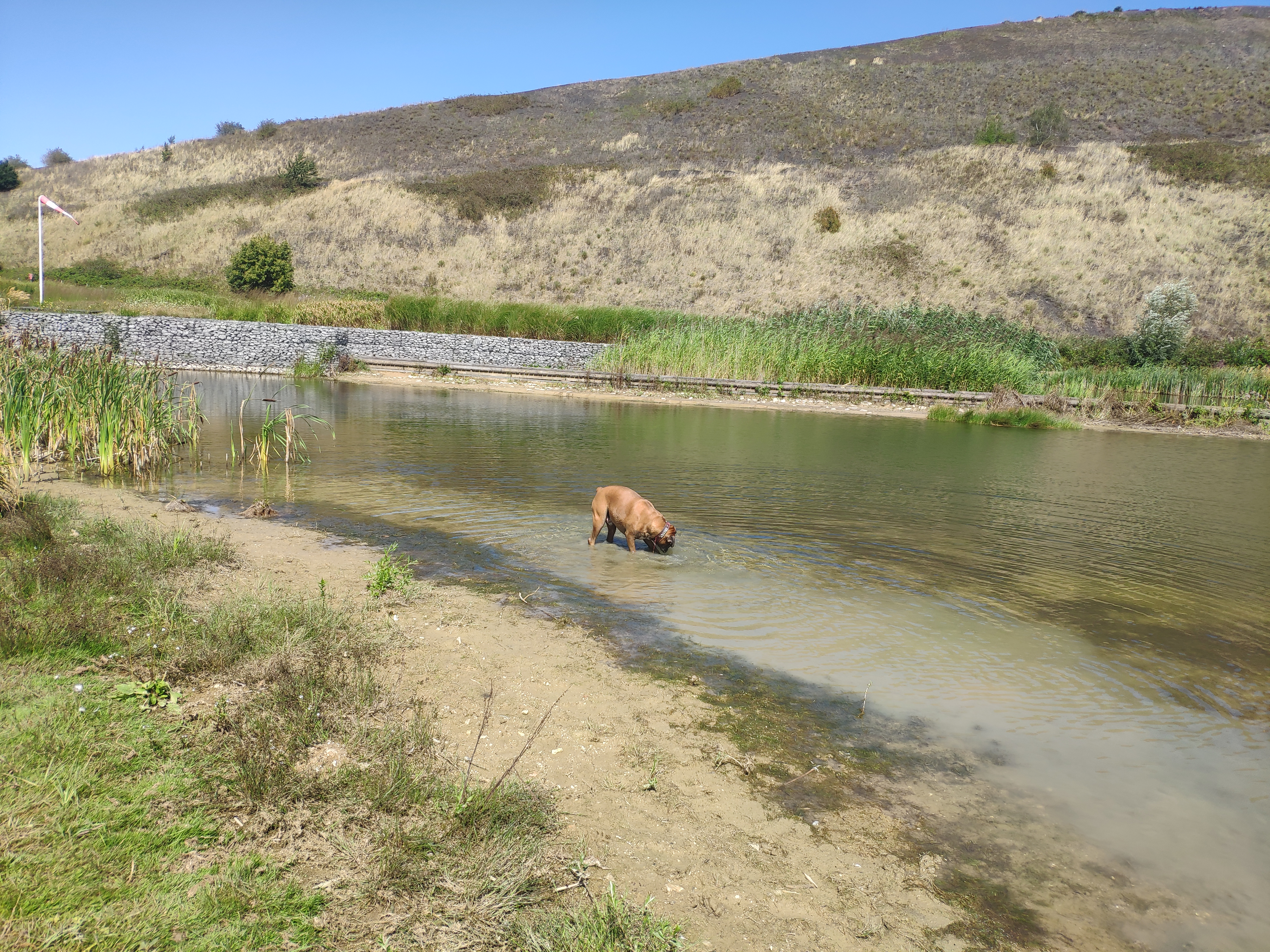 Photo n° 15 de l'avis de Monique.z fait le 09/08/2018 à 10:08
