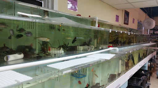 Pet Store «Fins and Skins», reviews and photos, 8451 49th St N, Pinellas Park, FL 33781, USA