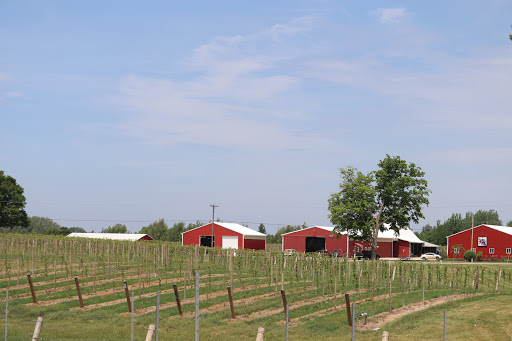 Winery «Fenn Valley Vineyards», reviews and photos, 6130 122nd Ave, Fennville, MI 49408, USA