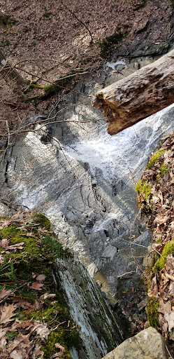 Nature Preserve «Sweedler and Thayer Preserves», reviews and photos, 10 Townline Rd, Ithaca, NY 14850, USA