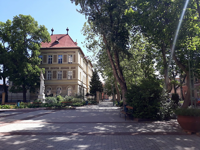 Értékelések erről a helyről: Móra Ferenc Gimnázium, Kiskunfélegyháza - Iskola