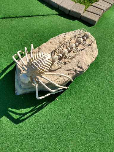 Amusement Center «SOAR Adventure Tower», reviews and photos, 3794 Carothers Pkwy, Franklin, TN 37067, USA