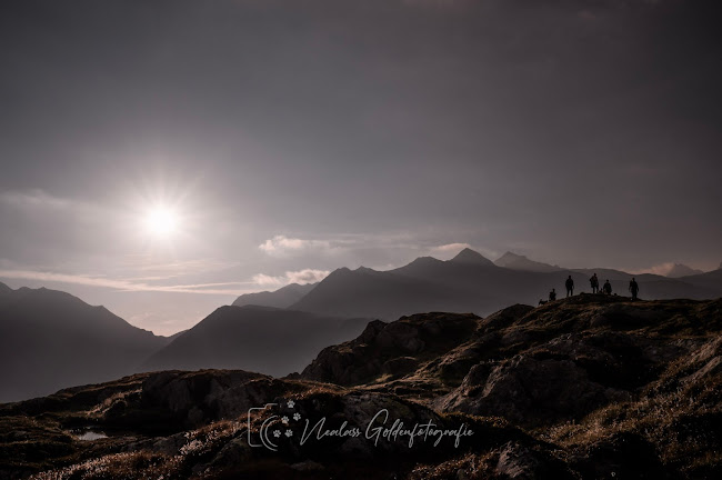 Kommentare und Rezensionen über Abenteuerhunde Fotografie