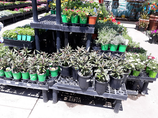 Hardware Store «Santa Barbara Home Improvement Center», reviews and photos, 415 E Gutierrez St, Santa Barbara, CA 93101, USA