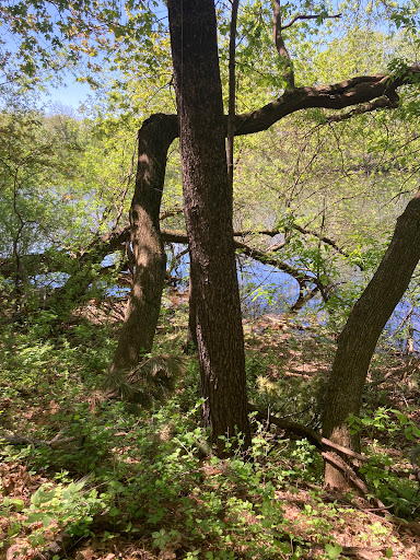 Nature Preserve «Dodge Nature Center», reviews and photos, 365 Marie Ave W, West St Paul, MN 55118, USA