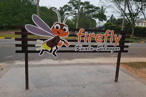 Kampung Kuantan Fireflies Park (Selangor) image