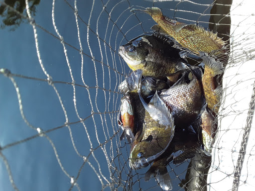 State Park «Cochituate State Park», reviews and photos, 43 Commonwealth Rd, Natick, MA 01760, USA