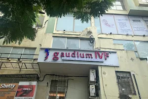 Gaudium IVF - Best IVF Centre in Khar, Mumbai image