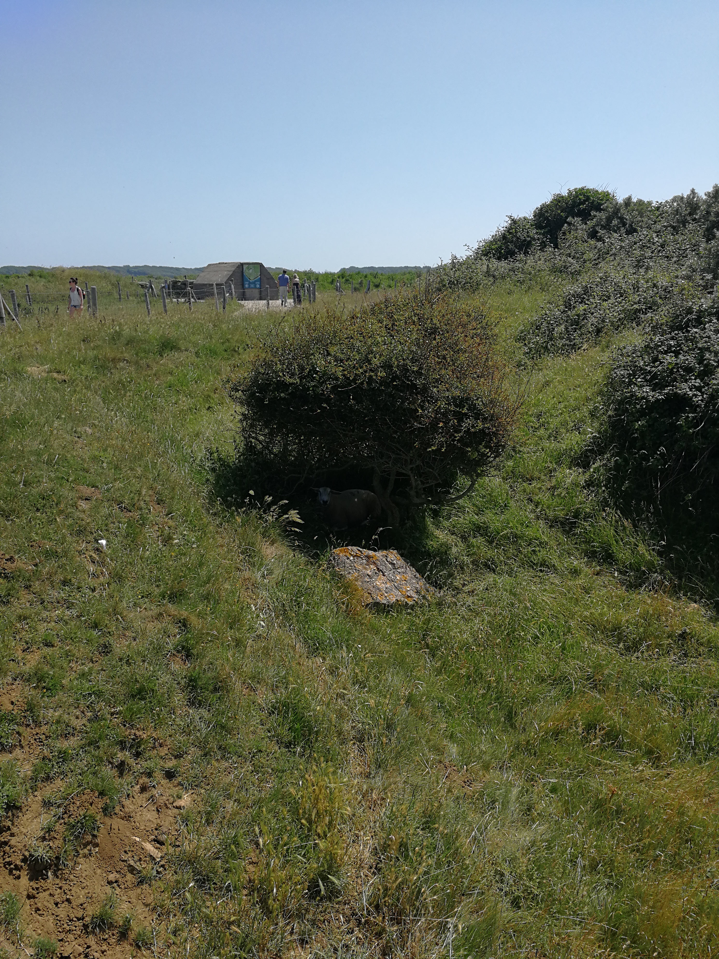 Photo n° 4 de l'avis de Geoffrey.a fait le 01/07/2019 à 17:11