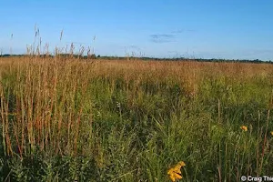 Bluestem Prairie Scientific and Natural Area (SNA) image