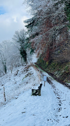 Photos des visiteurs Ferienwohnung Ferienwohnungen am Süssenbrunn 79244 Münstertal