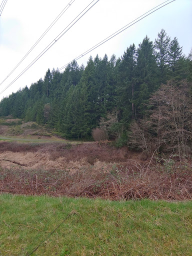 Park «Celebration Park», reviews and photos, 1095 S 324th St, Federal Way, WA 98003, USA