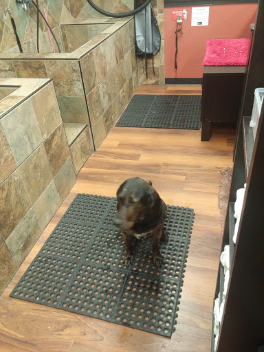 Pet Supply Store «Pet Valu», reviews and photos, 1305 West Seventh Street #28, Frederick, MD 21702, USA