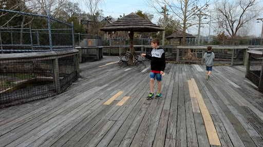 Zoo «Alligator Adventure», reviews and photos, 4604 Hwy 17 S, North Myrtle Beach, SC 29582, USA